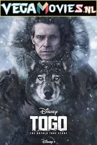  Togo (2019) Full Movie {English with Subtitles} WEB-DL 480p [450MB] | 720p [1GB] | 1080p [1.8GB]